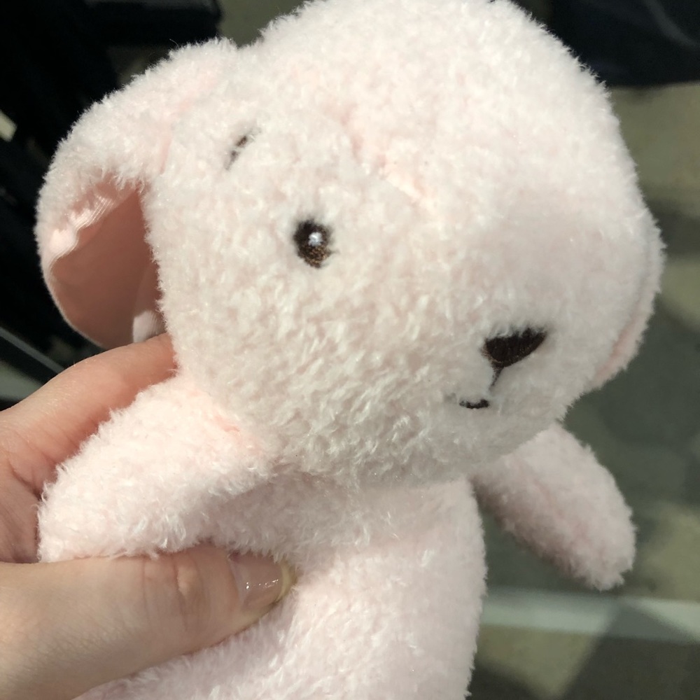 Teddy bear